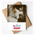 thumbnail image 1 of White Dog Pet Animal Photo Happy Birthday Greeting Cards Envelopes Blank, 1 of 3