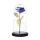 thumbnail image 1 of Lámpara Goldleaf Rose Dome Glass LED Light Día de San Valentín Regalo de Navidad (Azul) Tmvgtek Para estrenar, 1 of 9