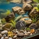 thumbnail image 4 of CHICHUMID 3Ud Ornamentación De Hueco Para Acuario Refugio Para Peces Y Camarones, 4 of 7