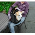 thumbnail image 6 of Kurgo Dog Explorer Travel Carrier, Water-Resistant, For Cats & Small Dogs Up to 20 Lbs, Black, 6 of 8