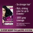 thumbnail image 3 of Schwarzkopf Keratin Hair Dye 1.1 Midnight Black, Permanent Hair Color, 1 Use, 3 of 11