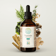 Thyroidix Alcohol Extract Tincture. Thyroid Support 4 oz