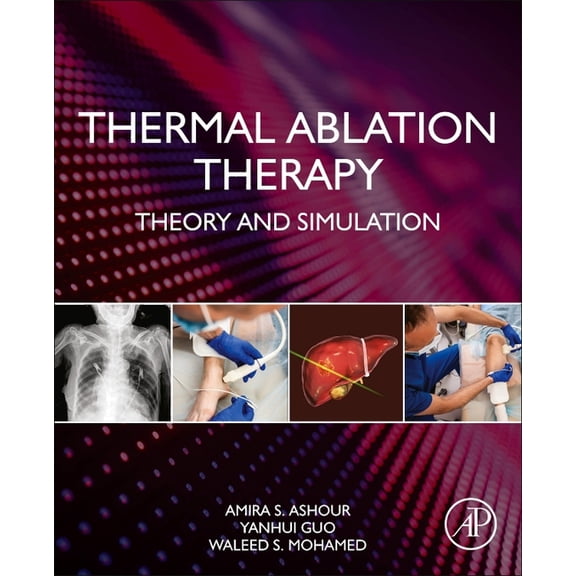 Thermal Ablation Therapy: Theory and Simulation, (Paperback)