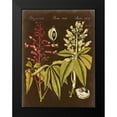 thumbnail image 2 of Vision Studio 12x14 Black Modern Framed Museum Art Print Titled - Buckeye on Suede, 2 of 5