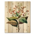 thumbnail image 3 of Designart 'American Vintage Flowers II' Traditional Print on Natural Pine Wood, 3 of 5