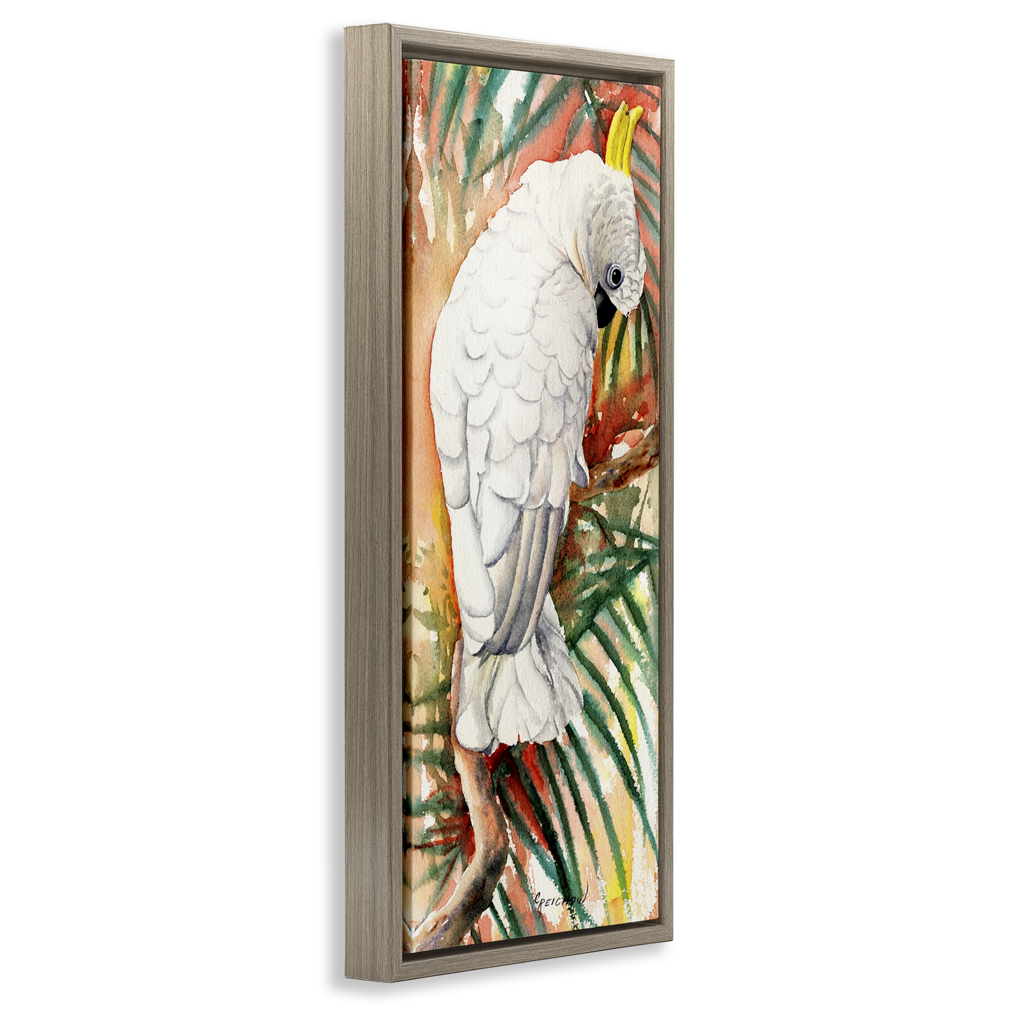 Stupell Industries Cockatoo Among Leaves Animals & Insects Painting Brown Floater Framed Canvas Art Print Wall Art, 11 x 25