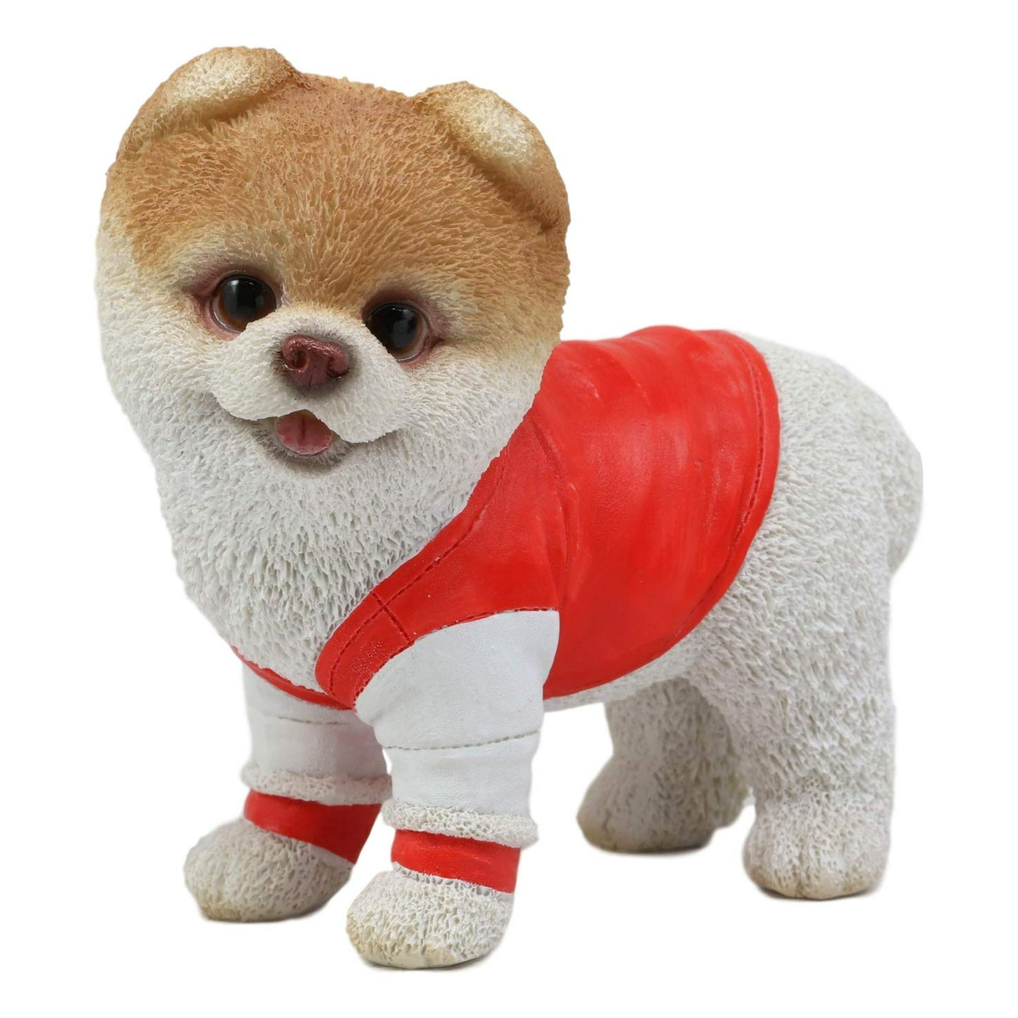 Ebros Gym Bro Boo Statue de Chien Poméranien le Plus Mignon du