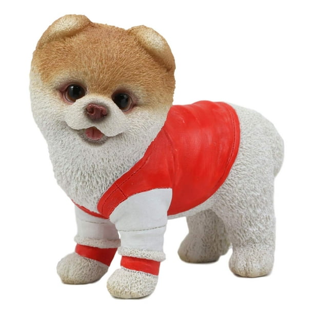 Ebros Gym Bro Boo The World's Cutest Pomeranian Dog Statue Pet Pal Dogs  Collectible Breed Pomeranians Memorial Collectible Resin Decor Figurine  with