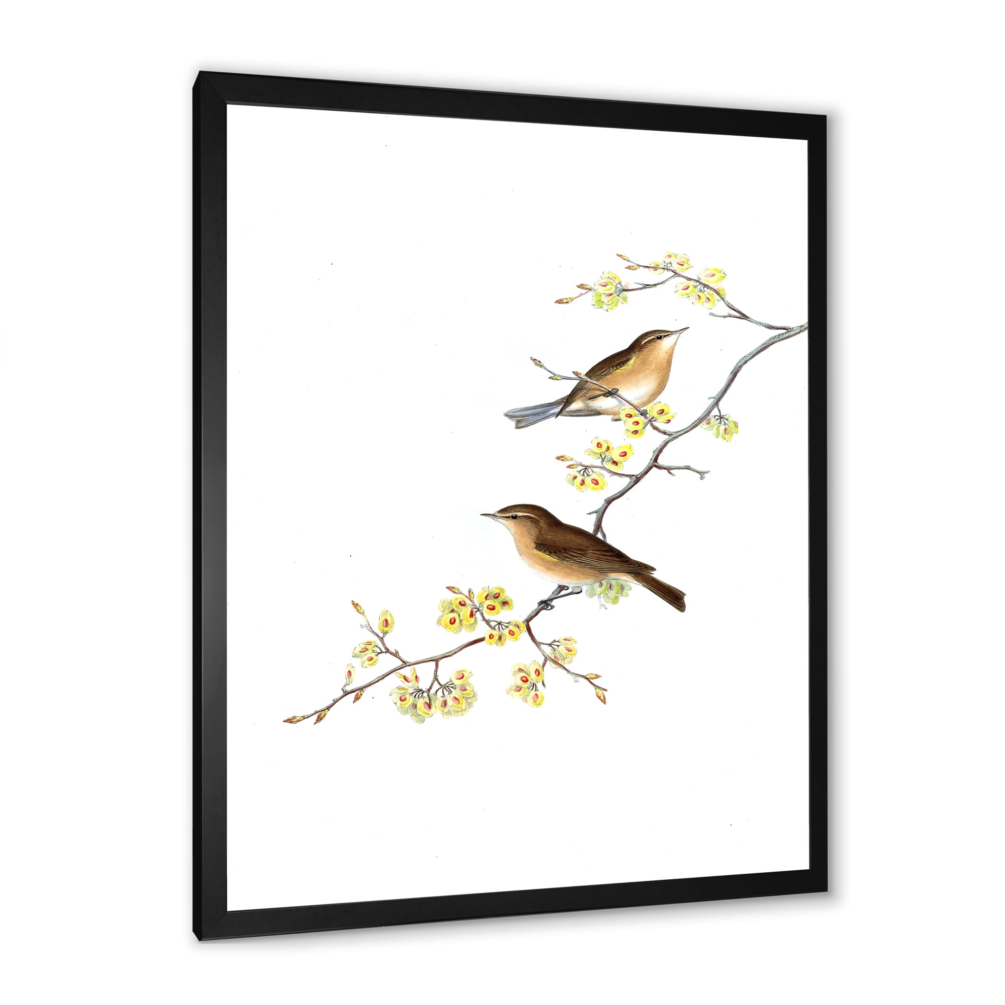 Designart 'Little Birds Sitting On The Tree Branches II' Traditional Framed Art Print