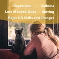 thumbnail image 2 of Botanical Animal Flower Essences – Life’s Changes – Aids pets experiencing Depression, Loss of Loved Ones, Moving, Sadness and other major life shifts All-Natural, Safe and Gentle, Oil-Free, USA Made, 2 of 5