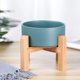 thumbnail image 4 of Cuencos elevados de altura verde para perros y gatos, cuencos de cerámica para perros y gatos con soporte de madera de bambú, 4 of 5