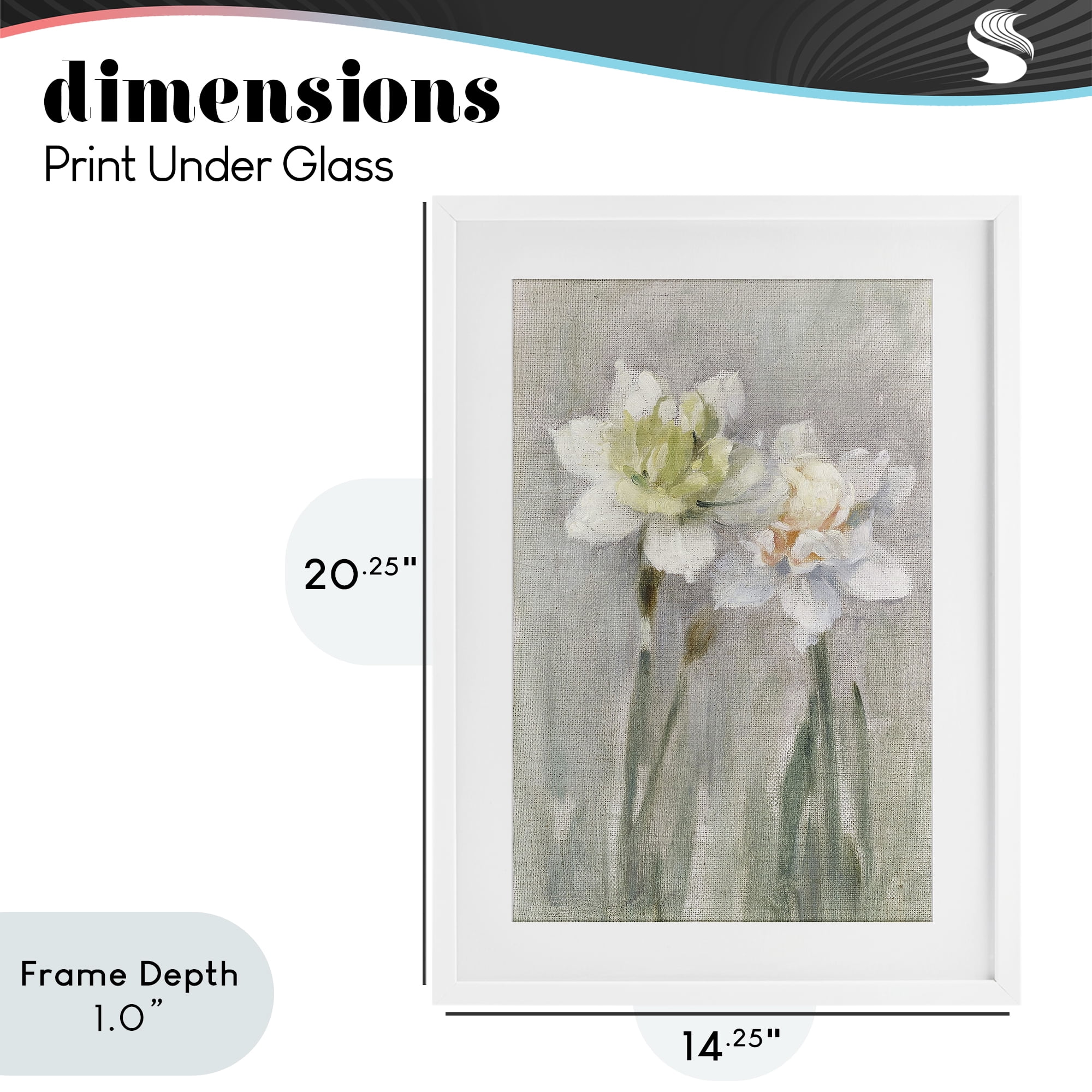 Stupell Industries Twin White Daffodils White Framed Print Under Glass, design by Stellar Design Studio