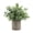 Golden Grass Potted Plant, variant on Mini Potted Plants Artificial Eucalyptus Boxwood Rosemary Faux Herbs Small House Plants 8.3"-9" Tall for Indoor Greenery Tabletop Décor Centerpiece (Sprayed Eucalyptus)