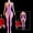 Purple, variant on Women's Floral Lace Bodystocking, Sheer Mesh Cutout, Backless Fishnet Body Socks, Black/Red/White/Purple/Blue, 5 Colors