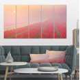 thumbnail image 1 of Lever de Soleil sur Rangées de Tulipes - Impression sur Toile Paysage, 1 of 3