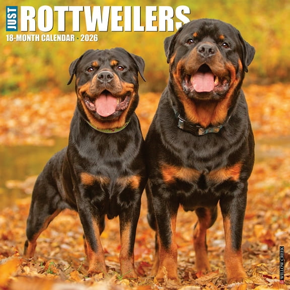 Rottweilers 2026 Wall Calendar, (Paperback)