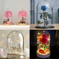 thumbnail image 6 of Uxcell 3"x6.5" Glass Display Dome Cloche Display Bell Jar for Plants Collectibles Candles, Black, 6 of 6