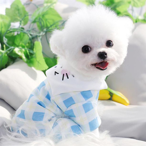 Camisa a cuadros para cachorros, sección de primavera fina, ropa para perros, chaleco transpirable de peluche que jersey de oso, ropa suave para mascotas de cuatro patas