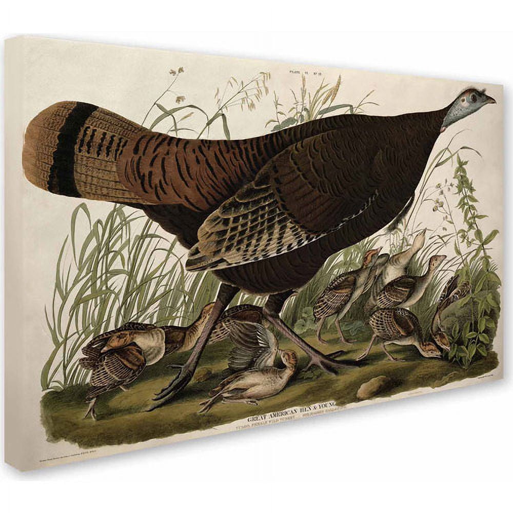 Trademark Fine Art "Great American Hen and Young" Canvas Art by John James Audubon