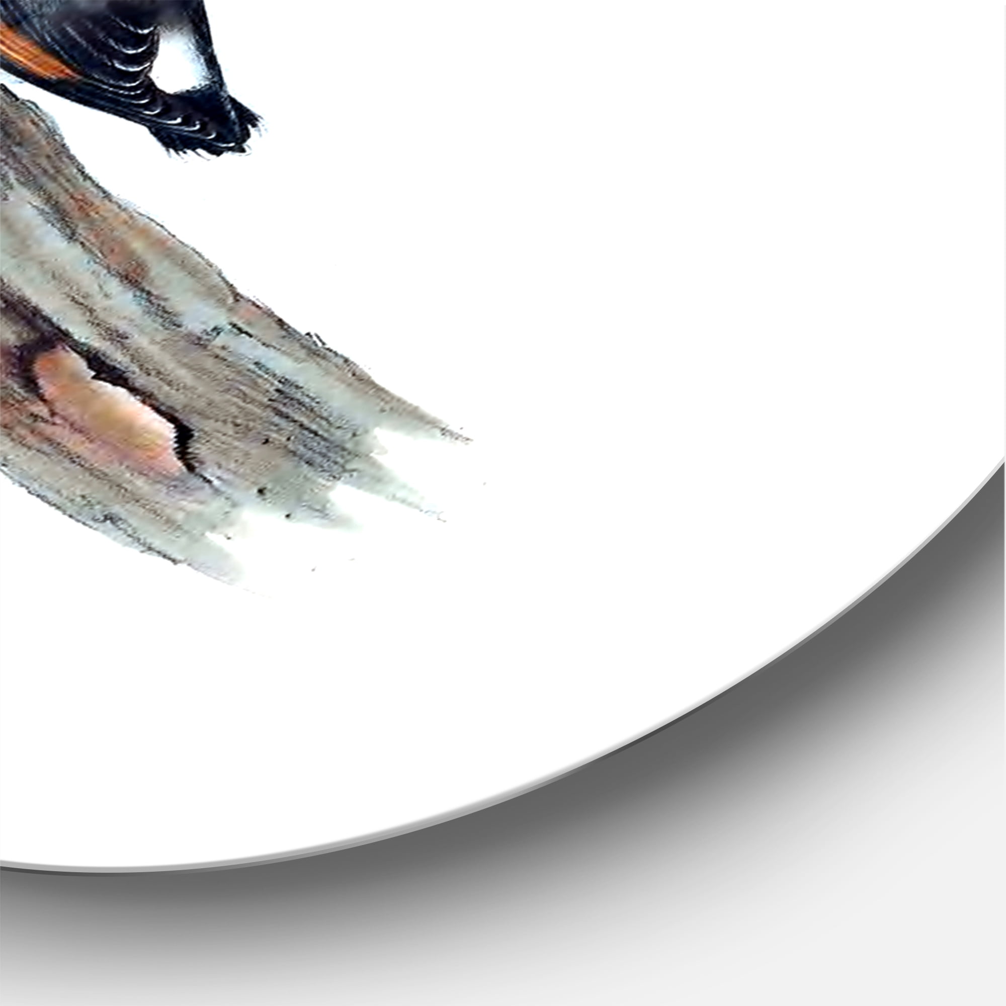 Designart 'Ancient Australian Bird Illustrations I' Traditional Circle Metal Wall Art 11x11 - Disc of 11