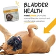 thumbnail image 5 of maxxiUtract Urinary and Bladder Supplement for Dogs - Powder 5.3 oz, 5 of 9