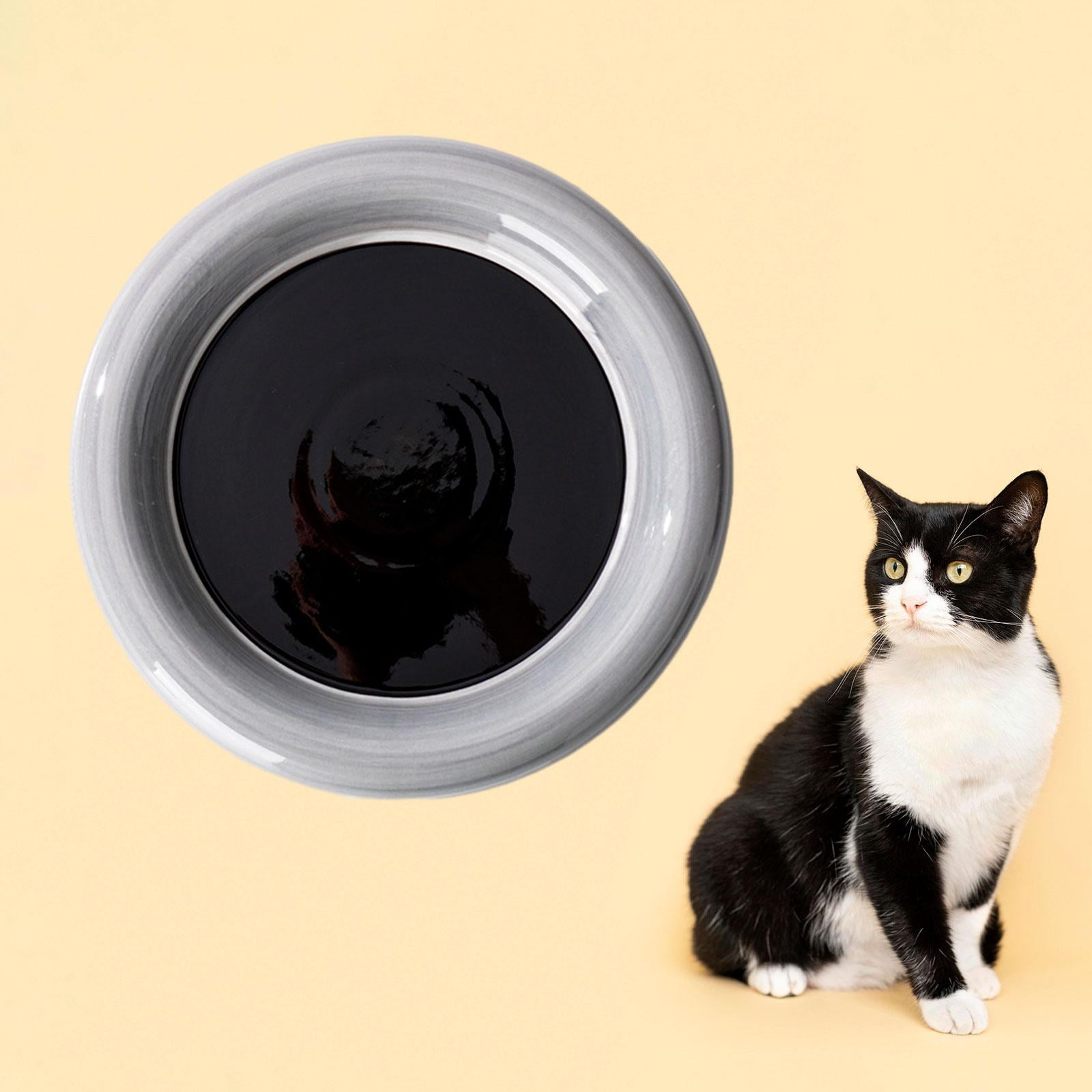 Fzaqwen Ceramic Cat Bowl Cat Bowl Non Slip Friendly Stable Portable Dog Feeding Dish for Gray Round Large