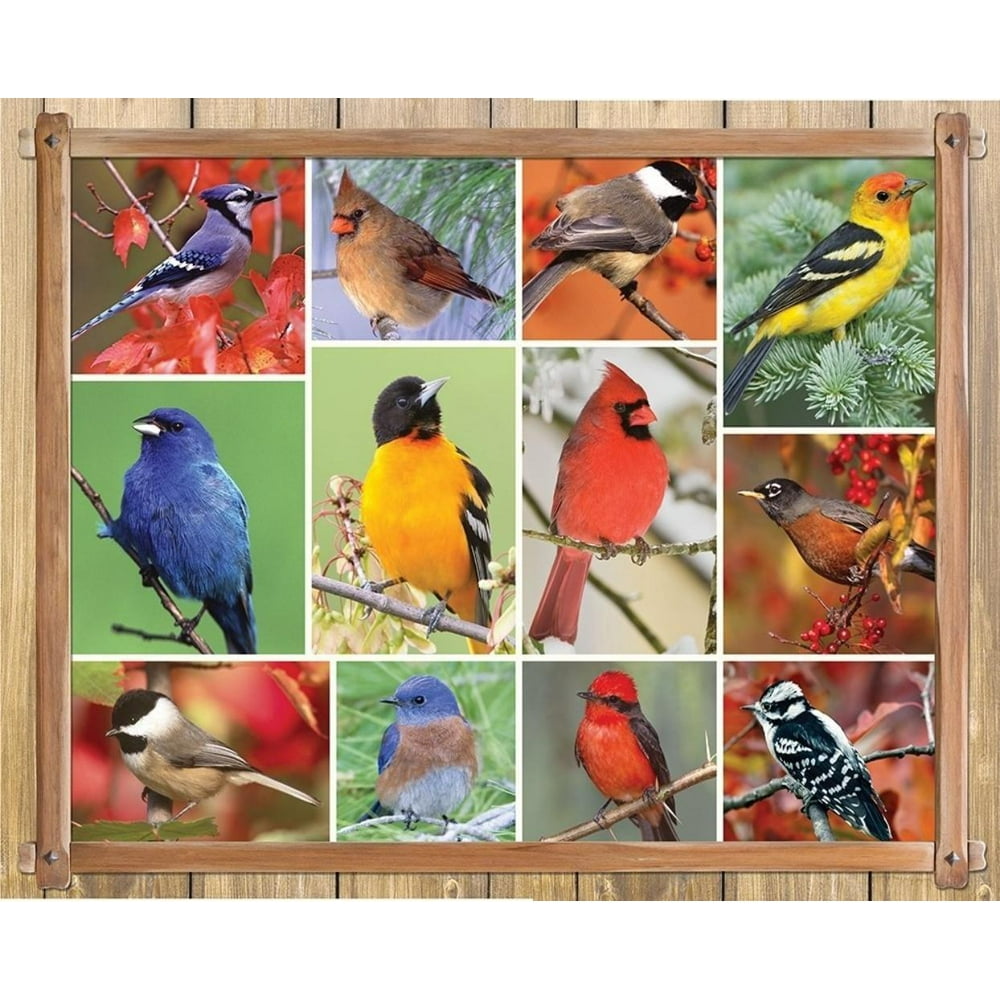 Alzheimer & Dementia Jigsaw Puzzles Songbirds 100 Piece Jigsaw