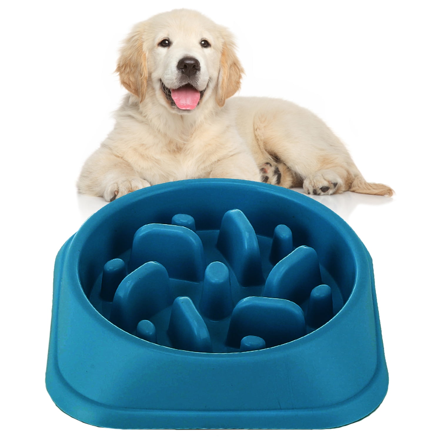  PETBABA Dog Bowl Slow Feeder, Interactive Puzzle Fun Silicone  Nonskid Feed Dish, Against Bloat in Eating Food, Keep Your Cat Pet Healthy  - S in Blue : Pet Supplies