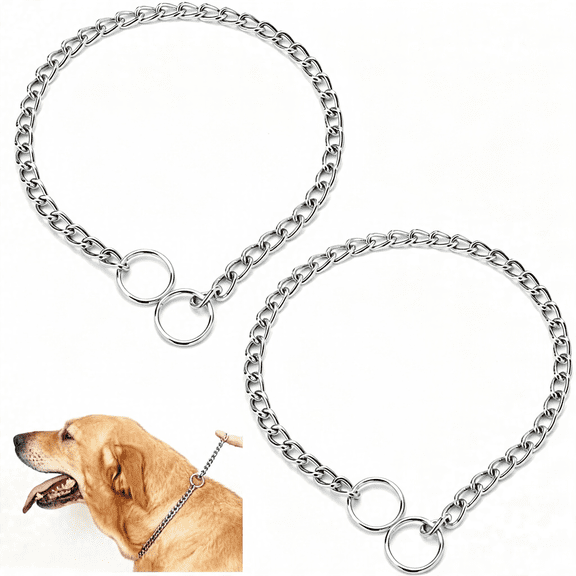 GASTROPOD Silver Chain Collar for Medium Dogs, 2Pack Training Choke Collar for Dogs Heavy Duty Metal Slip P Link Martingale Collars Puppy Choker Chain for Xxs Xs Small Medium Large Dog, S
