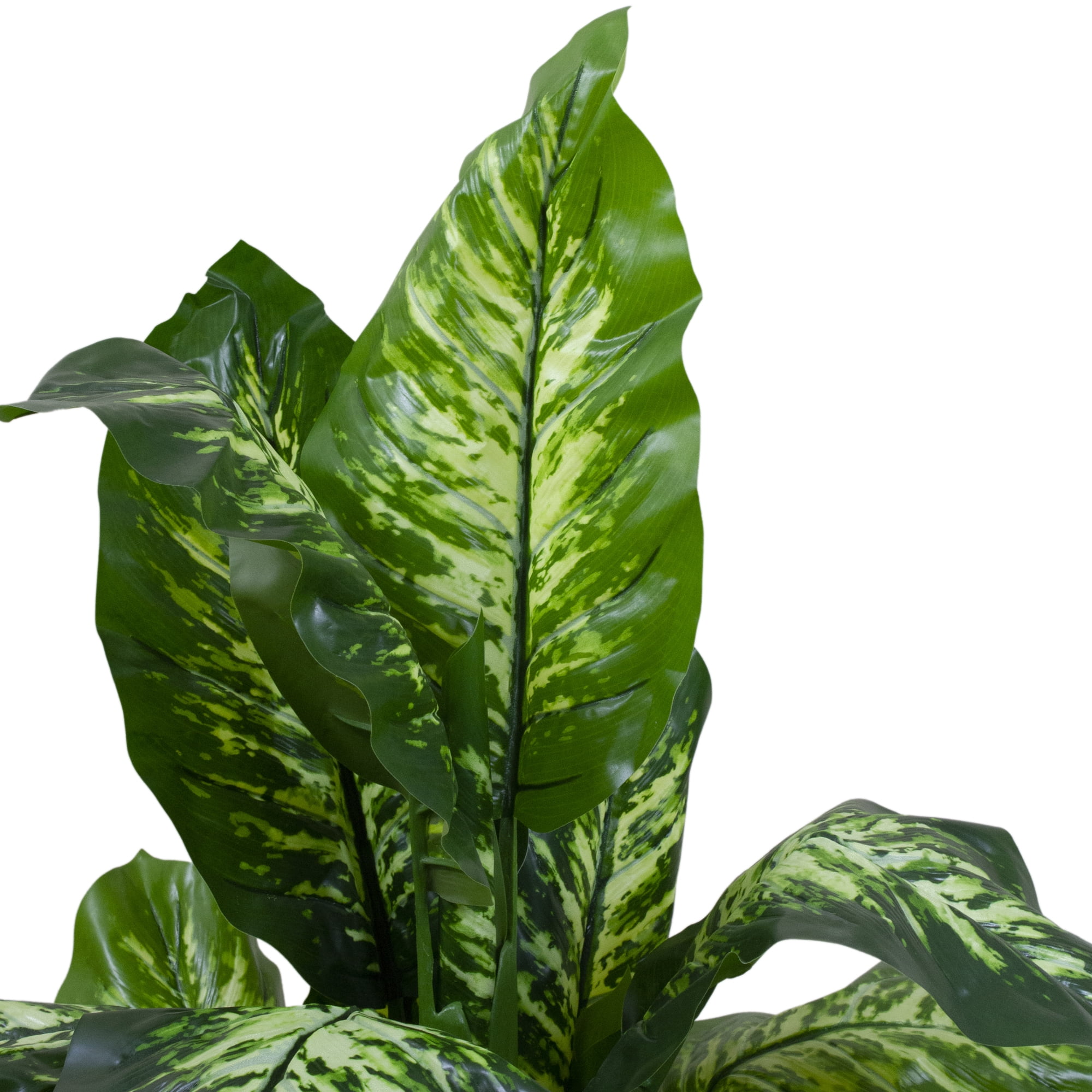 58" Artificial Wide Leaf Green Dieffenbachia Potted Plant