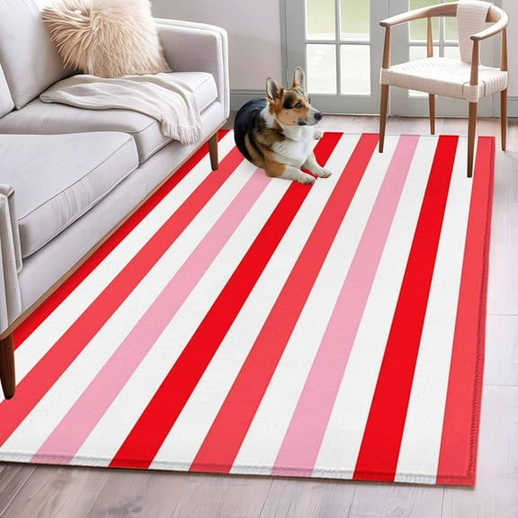 Red Pink Striped Area Rug 4x6 Washable Rug Non Slip Farmhouse Stripes Simple Art Large Area Rug Indoor Floor Carpet for Entryway Bedroom Kitchen Living Room Home Office Dining Room Nursery