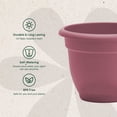 thumbnail image 4 of Bloem Ariana 8" Self-Watering Plastic Planter - Rolled Rim Indoor/Outdoor Garden Pot, Dusty Rose, 4 of 8