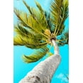thumbnail image 2 of Navas, Emily 17x24 White Modern Wood Framed Museum Art Print Titled - Tropical Winds, 2 of 4