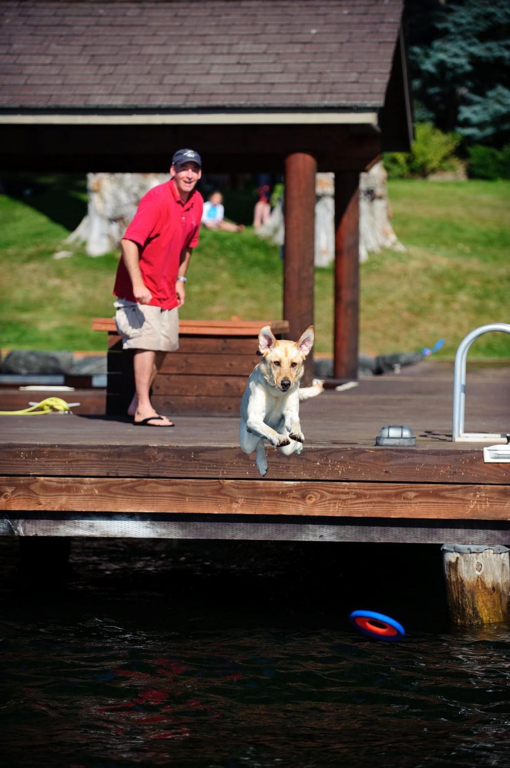 Chuckit! Zipflight Medium Dog Toy