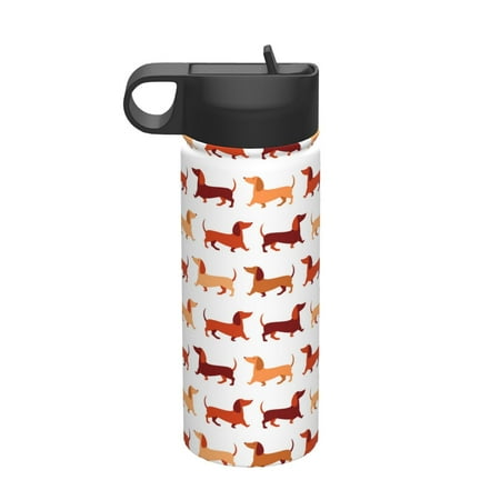 

Tideii Dachshund Walking for 18OZ Insulated Space Bottle Stainless Steel Water Cup with Straw Suitable for Outdoor Sports Unisex