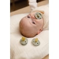 thumbnail image 4 of Chupones BIBS Haze Blossom Tetina Redonda Látex Natural Pack de 2 para 6 a 18 Meses, 4 of 7