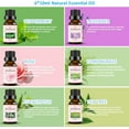 thumbnail image 4 of Oil Diffuser & Essential Oils Set - Oil Diffuser 150ml with 6 Essential Oils Set, Aromatherapy Cool Mist Oil Diffusers for Essential Oils, Waterless Auto Shut-Off，7 Colors Night Light,Gifts for Mom, 4 of 12