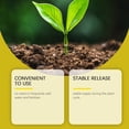 thumbnail image 4 of SXcggal Growth Sticks Provide Long Lasting Roots Damage And Are Suitable For Both Flower And Leaf Viewing Practical Basic Rooting Tool For Garden, 4 of 8