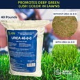 thumbnail image 5 of Supply Solutions Urea Nitrogen Organic Indoor Outdoor Lawn Fertilizer - Plant Food (40 Pounds), 5 of 10