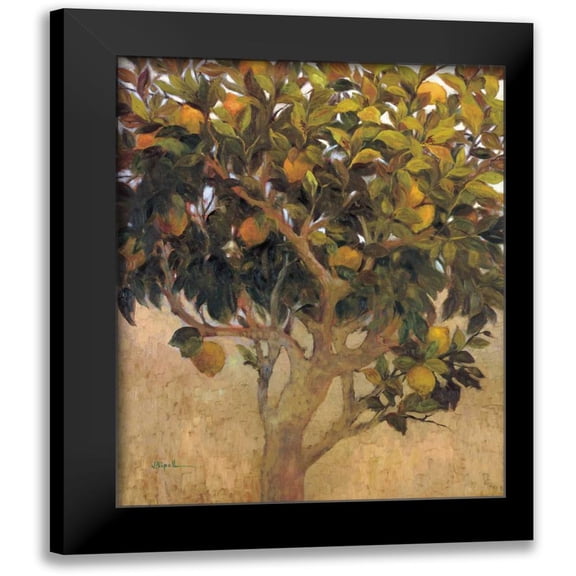 Ripoll, J. 12x14 Black Modern Framed Museum Art Print Titled - Limonero