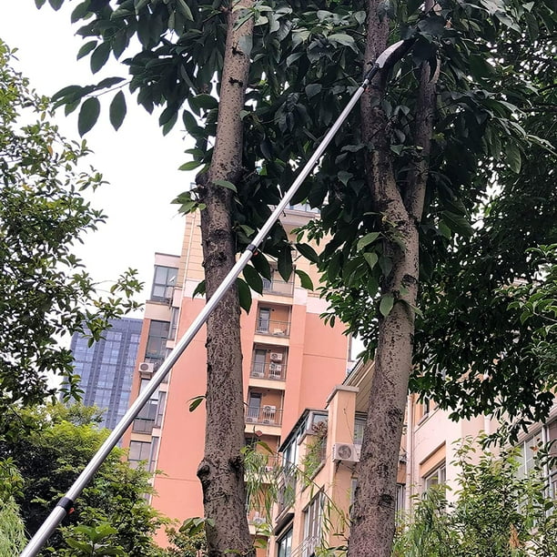High reach tree sale pruner