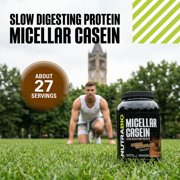 NutraBio Micellar Casein Protein Powder, 2 lbs, Dutch Chocolate