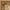 Ivory, variant on Radici Usa Como Area Rug 1621 Black Italian Bordered 5' 5" x 7' 7" Rectangle