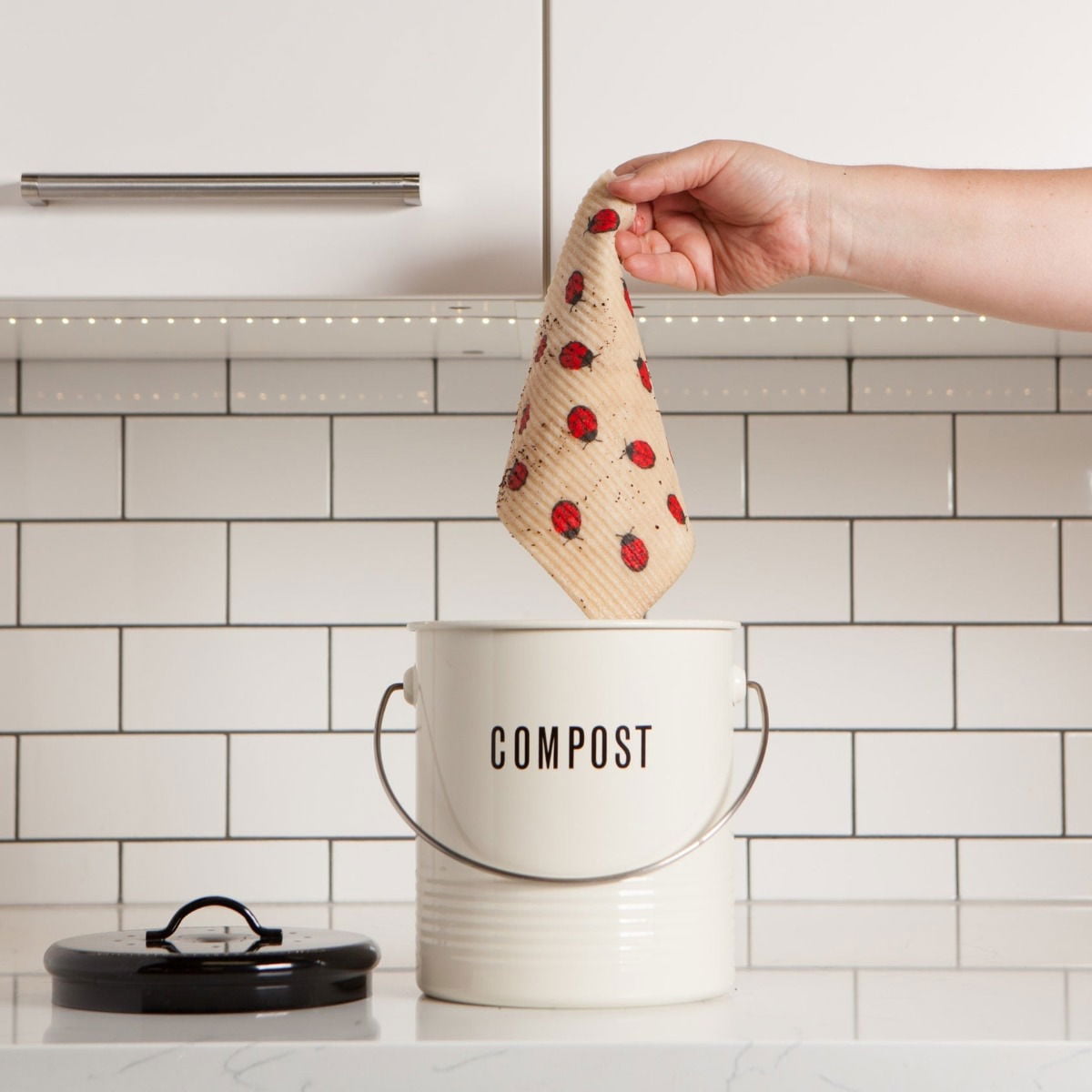 DANICA NOW DESIGNS Fly Away Ladybug Swedish Dish Cloth