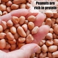 thumbnail image 3 of Wildlife Shelled Peanuts Old Potters 11.34kg for Birds, Squirrels, 3 of 6