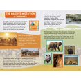 thumbnail image 2 of Endless Explorations, Brenda Scott Royce, Emily Rose Oachs, et al. Hardcover, 2 of 4