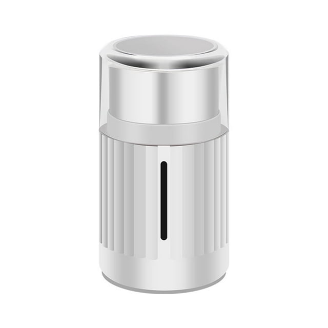 DEBGFS Coffee Grinder Electric and Spice Grinder Herb Grinder Coffee Bean Grinder Wet and Dry Grinder,Stainless Steel Blades Removable Chamber
