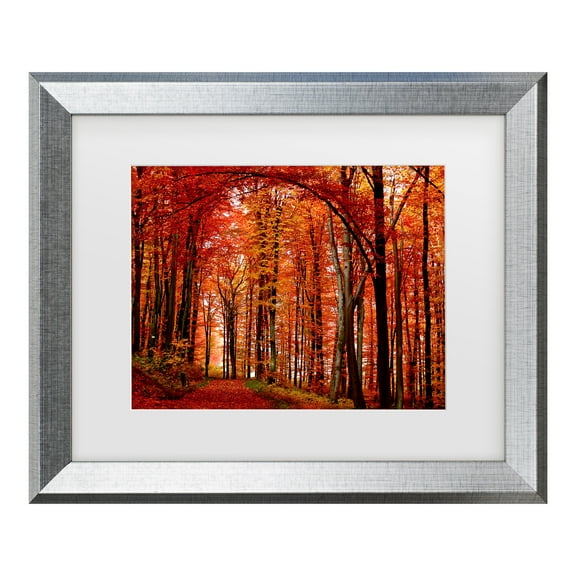 Trademark Fine Art 'The Red Way' Matted Framed Art by Philippe Sainte-Laudy