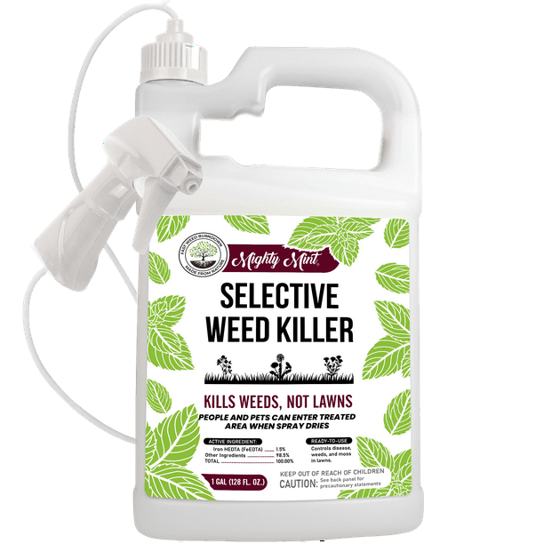 Mighty Mint Selective Weed Killer for Lawns Kills Weeds, Not Grass