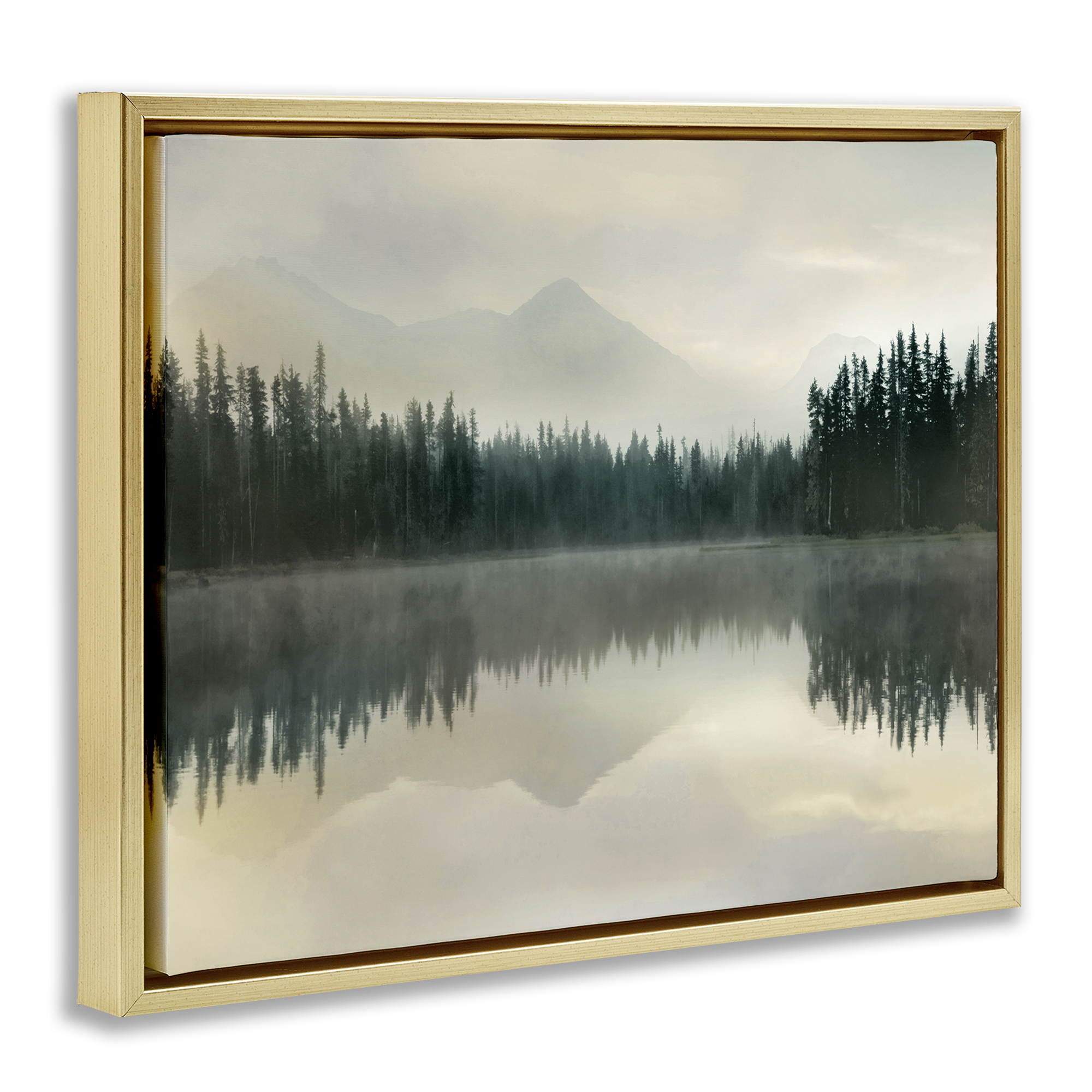Foggy Lake Forest Landscape Reflection Gold Floating Frame Canvas Art, 21 x 17
